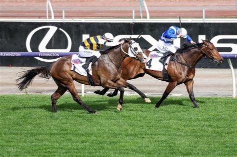 makybe diva stakes results